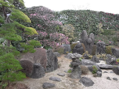 福岡 賃貸 庭.jpg