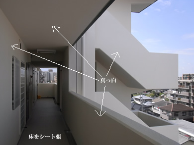 福岡 賃貸 共用廊下.jpg