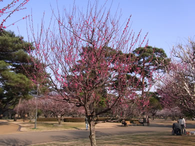 福岡 賃貸 公園@.jpg
