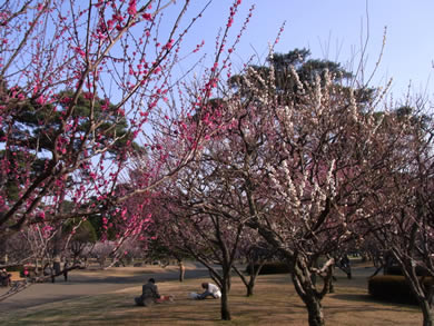 福岡 賃貸 公園B.jpg