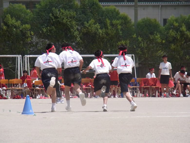 福岡 賃貸 棒レースE.jpg
