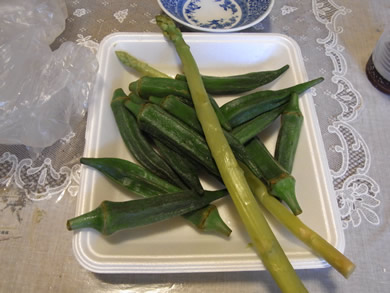福岡 賃貸 鉄輪温泉32.jpg